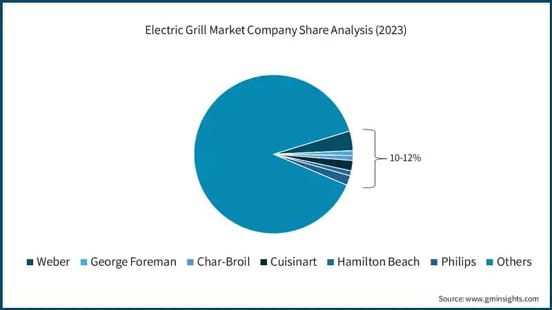 Electric Grill Market Company Share Analysis (2023)