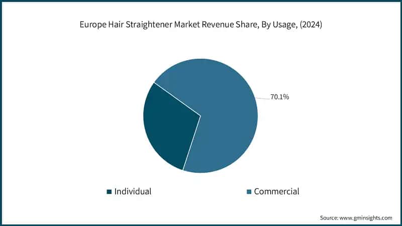 Europe Hair Straightener Market Revenue Share, By Usage, (2024)