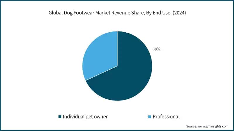 Global Dog Footwear Market Revenue Share, By End Use, (2024)
