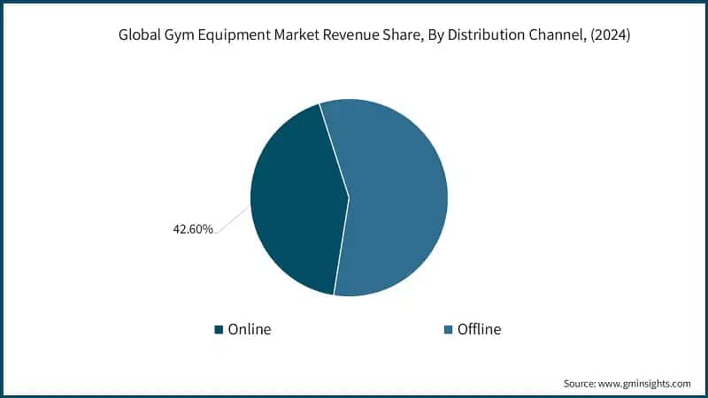 Global Gym Equipment Market Revenue Share, By Distribution Channel, (2024)