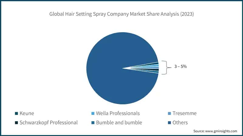 Global Hair Setting Spray Market Company Market Share Analysis (2023)
