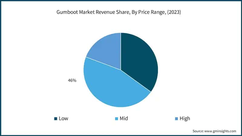 Gumboot Market Revenue Share, By Price Range, (2023)