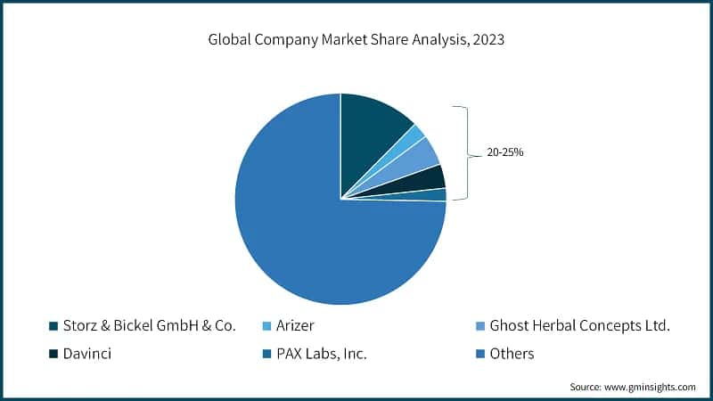 Global Company Market Share Analysis, 2023