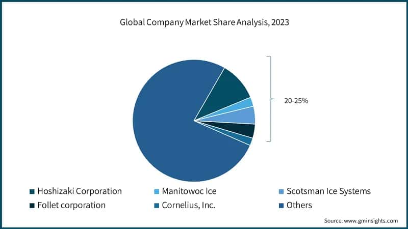 Global Company Market Share Analysis, 2023