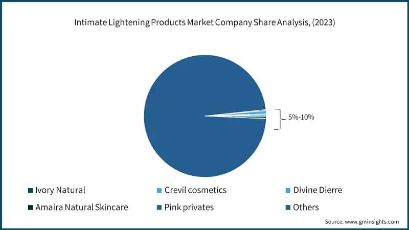 Intimate Lightening Products Market Company Share Analysis, (2023)