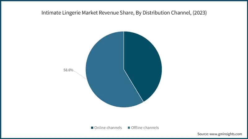 Intimate Lingerie Market Revenue Share, By Distribution Channel, (2023)