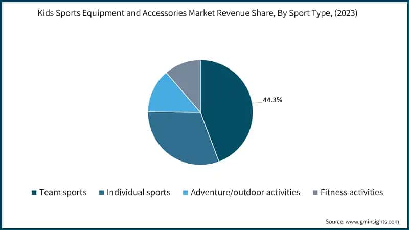 Kids Sports Equipment and Accessories Market Revenue Share, By Sport Type, (2023)