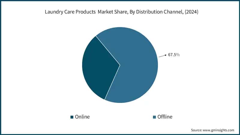 Laundry Care Products  Market Share, By Distribution Channel, (2024)