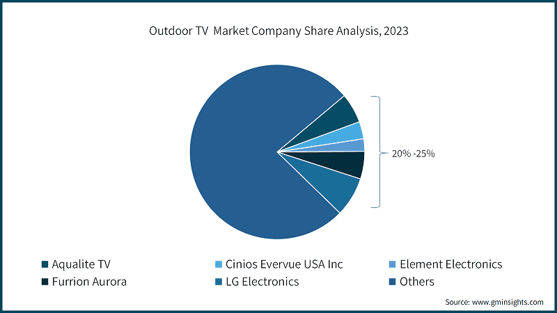 Outdoor TV Market Company Market Share Analysis, 2023