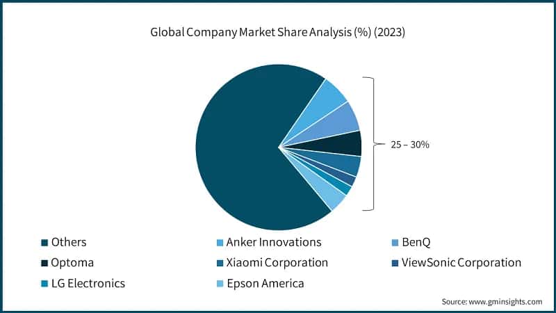 Global Company Market Share Analysis (%) (2023)