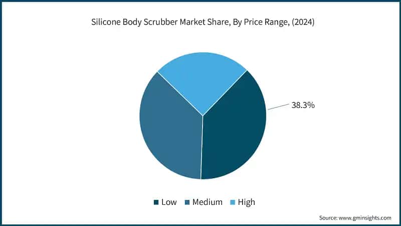 Silicone Body Scrubber Market Share, By Price Range, (2024)