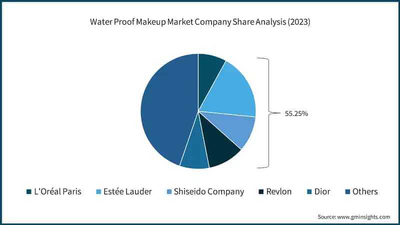 Water Proof Makeup Market Company Share Analysis (2023)