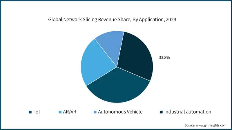 Global Network Slicing Revenue Share, By Application, 2024