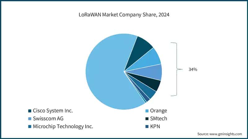 LoRaWAN Market Company Share, 2024