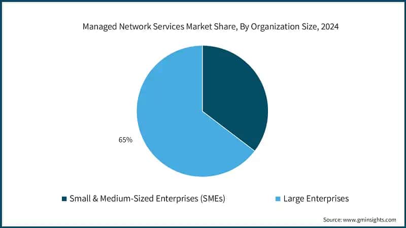 Managed Network Services Market&nbsp;Share, By Organization Size, 2024