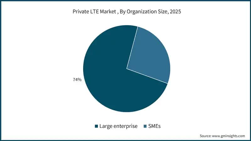 Рынок частных сетей LTE по размеру организации, 2025 г.