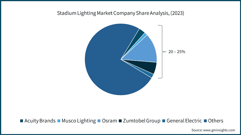 Stadium Lighting Market Company Share Analysis, (2023)
