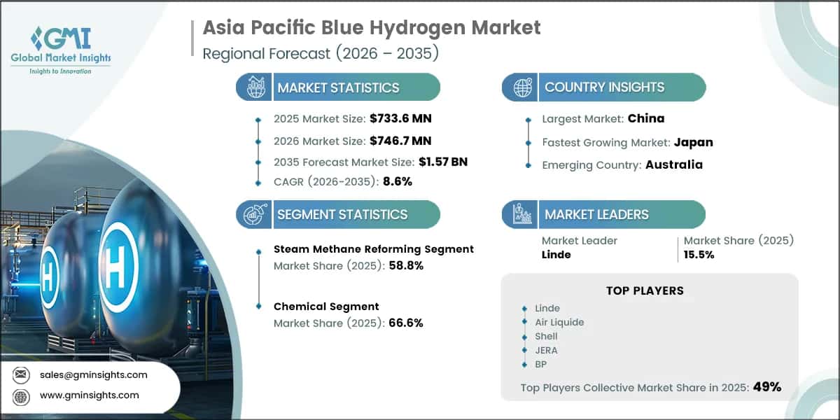 Asia Pacific Blue Hydrogen Market Research Report
