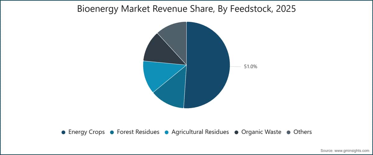 Bioenergy Market Revenue Share, By Feedstock, 2025