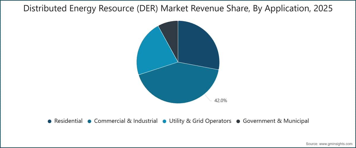 Distributed Energy Resource (DER) Market Revenue Share, By Application, 2025