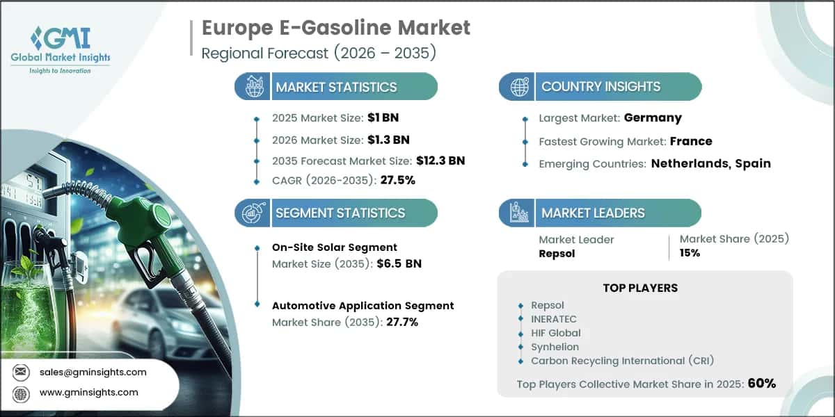 Europe E-Gasoline Market Research Report
