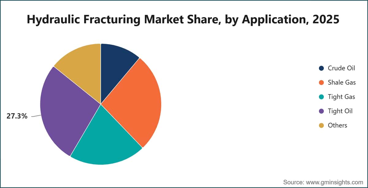 Hydraulic Fracturing Market Share, by Application, 2025