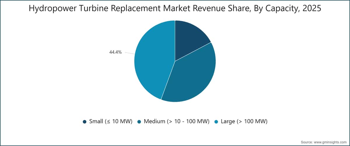 Hydropower Turbine Replacement Market Revenue Share, By Capacity, 2025