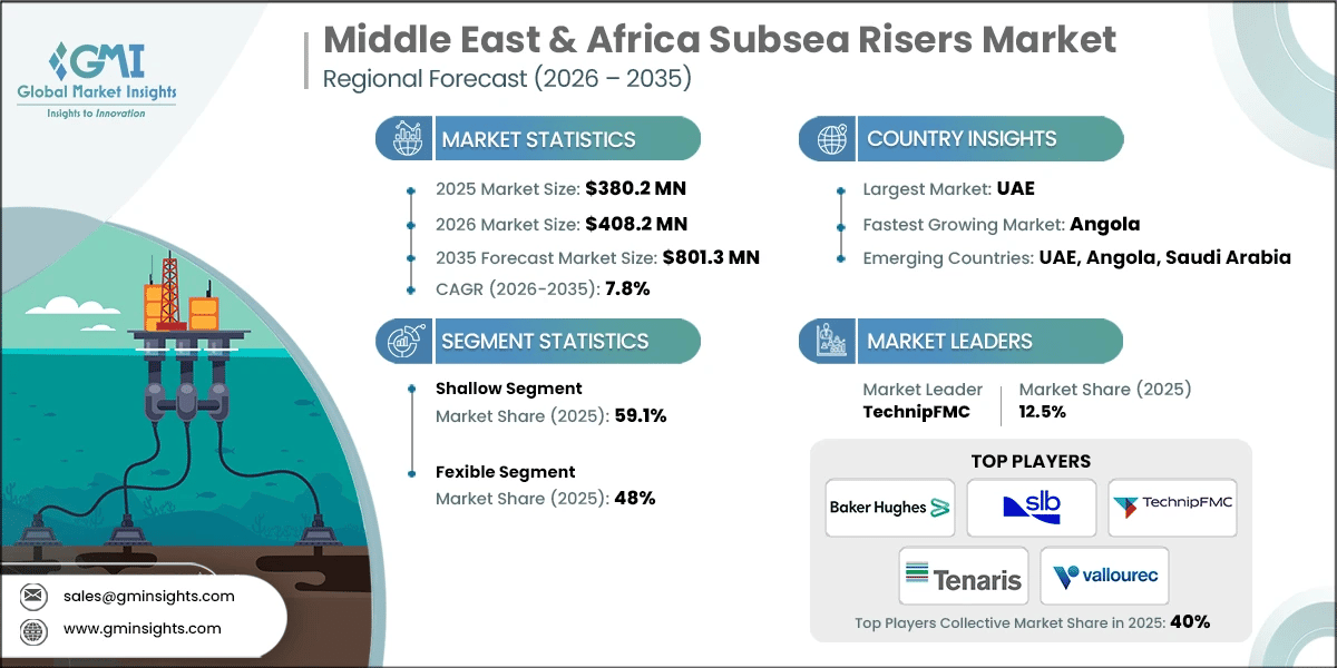 Middle East & Africa Subsea Risers Market Research Report