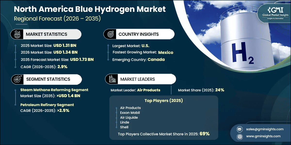 North America Blue Hydrogen Market Research Report