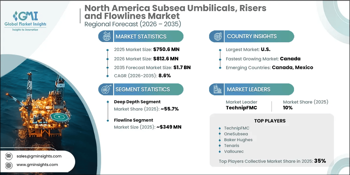 北米海底 umbilical、risers、flowlines 市場調査レポート
