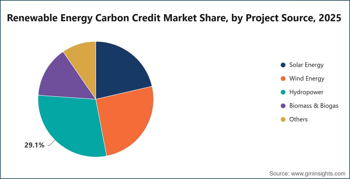 Renewable Energy Carbon Credit Market Share, by Project Source, 2025