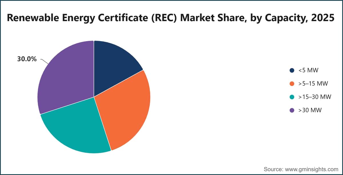 Renewable Energy Certificate (REC) Market Share, by Capacity, 2025