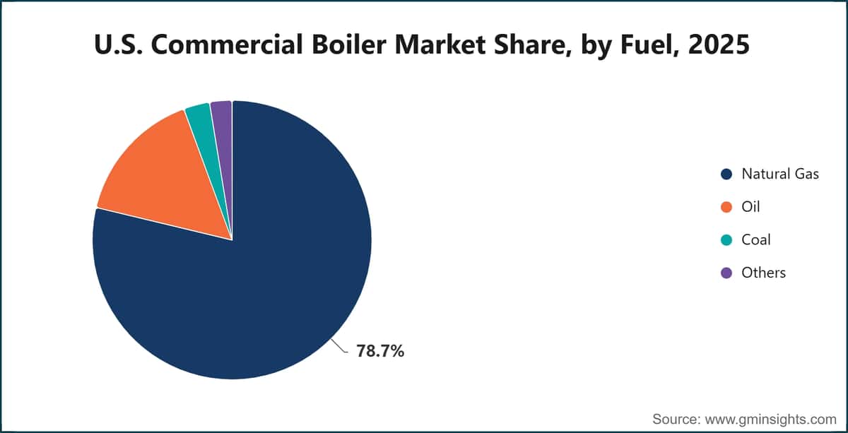 U.S. Commercial Boiler Market Share, by Fuel, 2025