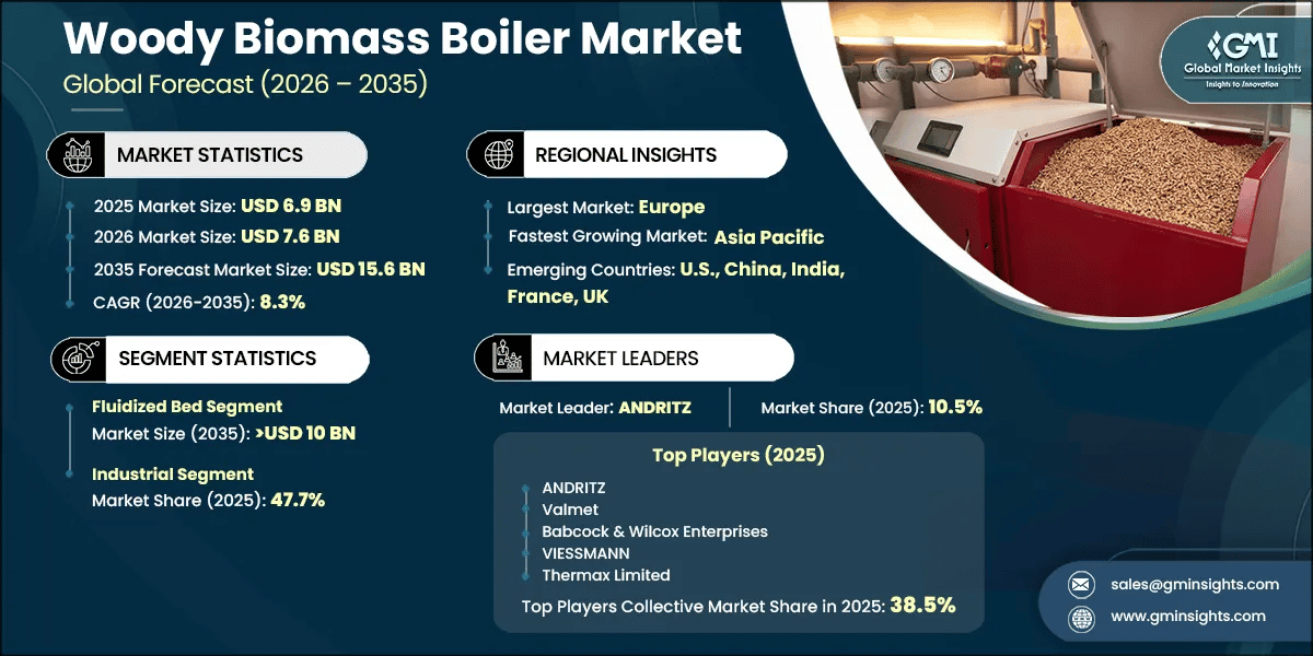 Woody Biomass Boiler Market Research Report