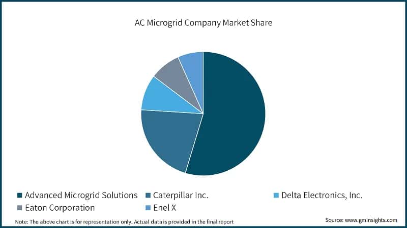 AC Microgrid Company Market Share