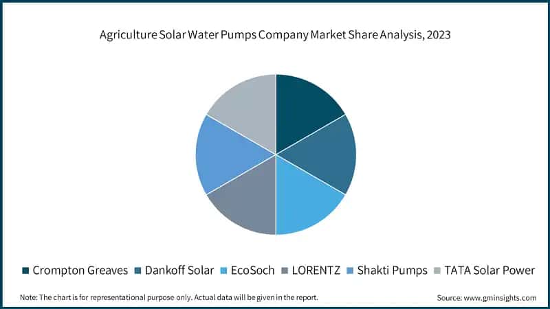 Agriculture Solar Water Pumps Company Market Share Analysis, 2023