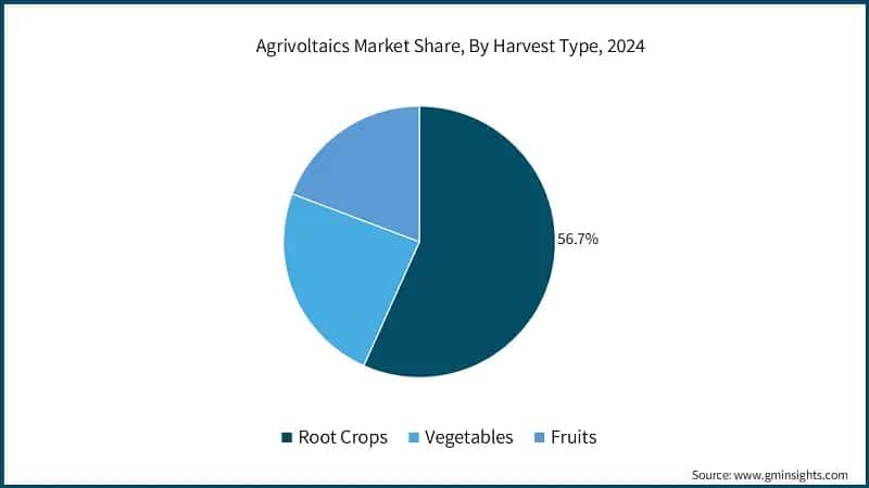Agrivoltaics Market Share, By Harvest Type, 2024