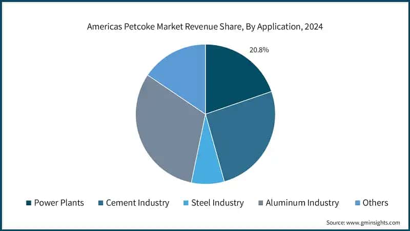 Americas Petcoke Market Revenue Share, By Application, 2024