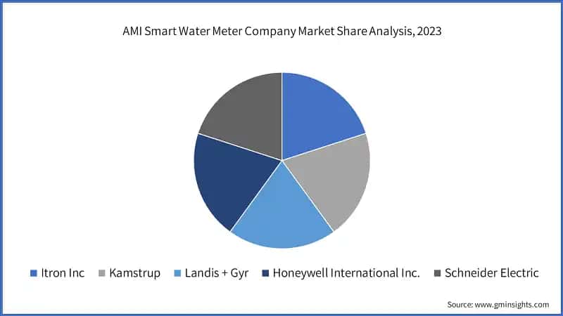 AMI Smart Water Meter Company Market Share Analysis, 2023