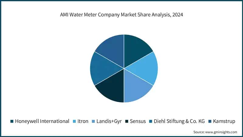 AMI Water Meter Company Market Share Analysis, 2024