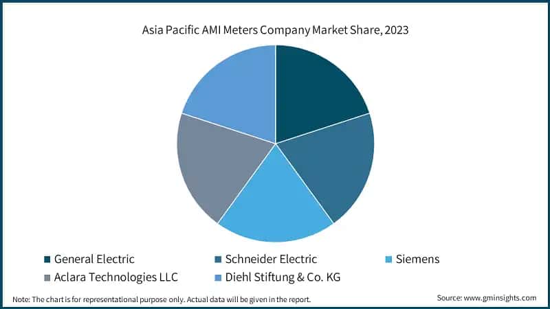 Asia Pacific AMI Meters Company Market Share, 2023