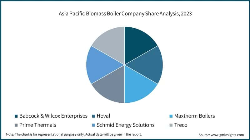 Asia Pacific Biomass Boiler Company Share Analysis, 2023