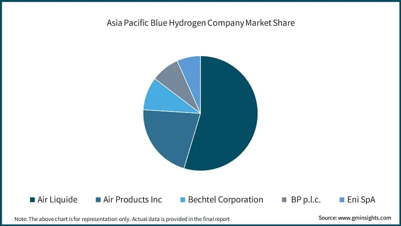 Asia Pacific Blue Hydrogen Company Market Share