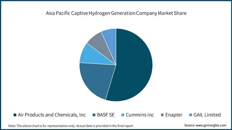 Asia Pacific Captive Hydrogen Generation Company Market Share