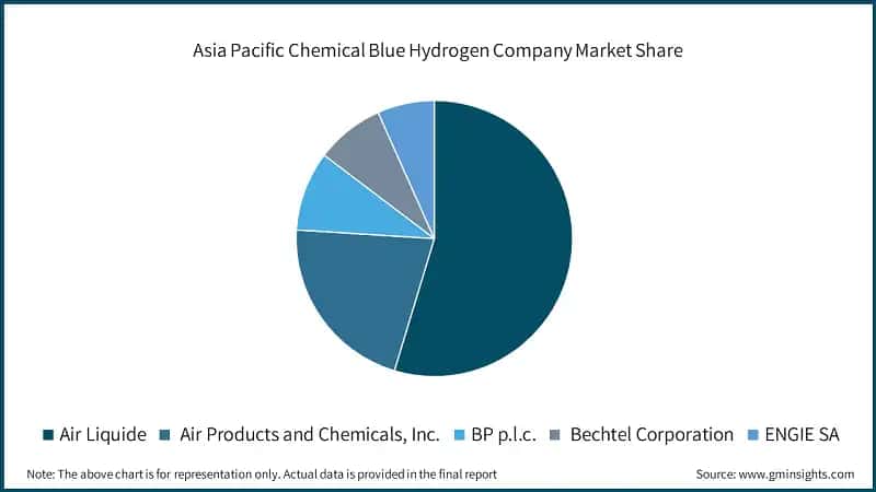 Asia Pacific Chemical Blue Hydrogen Company Market Share