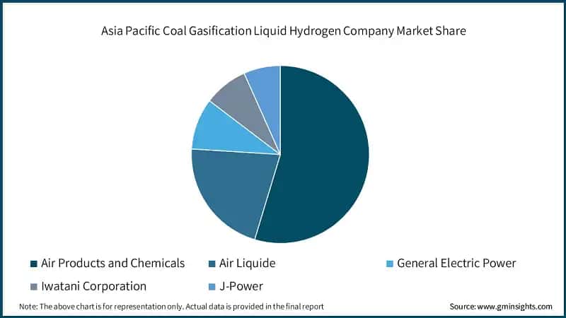 Asia Pacific Coal Gasification Liquid Hydrogen Company Market Share