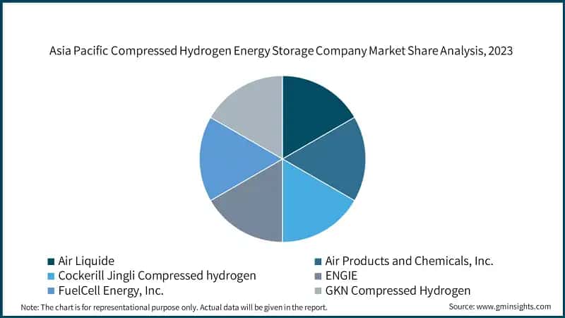 Asia Pacific Compressed Hydrogen Energy Storage Company Market Share Analysis, 2023