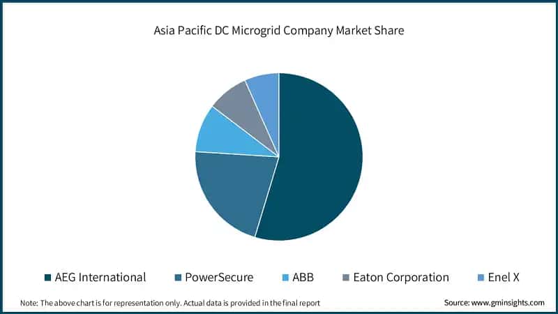 Asia Pacific DC Microgrid Company Market Share