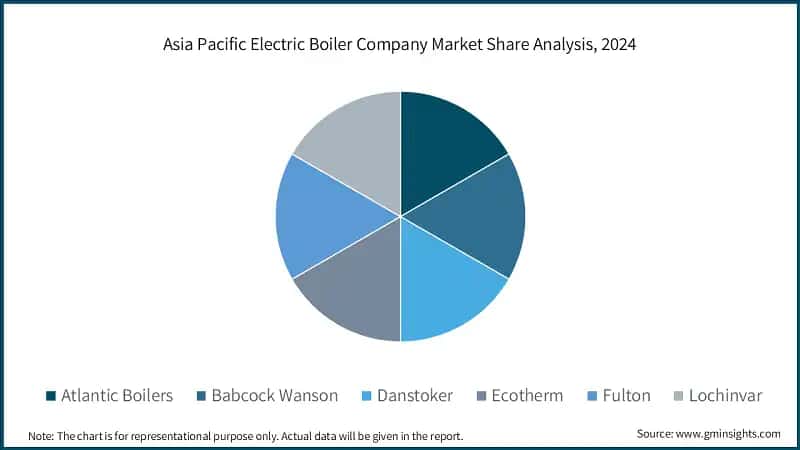 Asia Pacific Electric Boiler Company Market Share Analysis, 2024