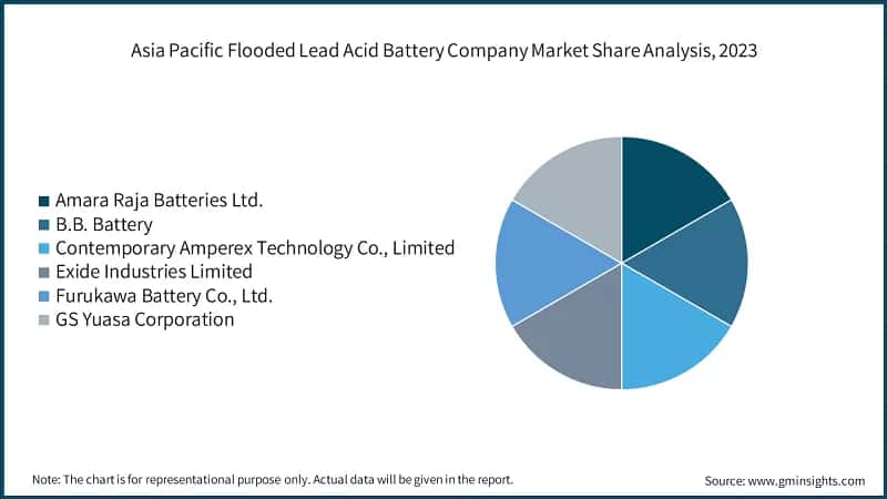 Asia Pacific Flooded Lead Acid Battery Company Market Share Analysis, 2023
